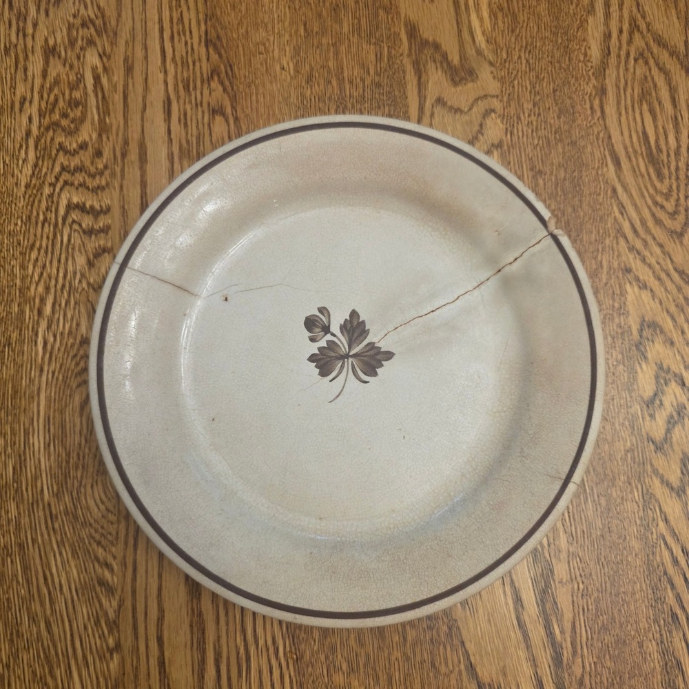 Antique Alfred Meakin Royal Ironstone China Plate Brown Floral Leaf England 8.5"